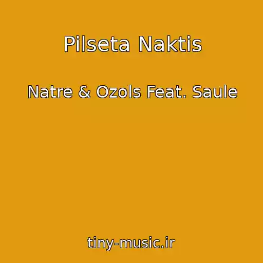 کاور آهنگ Pilseta Naktis از Natre & Ozols Feat. Saule