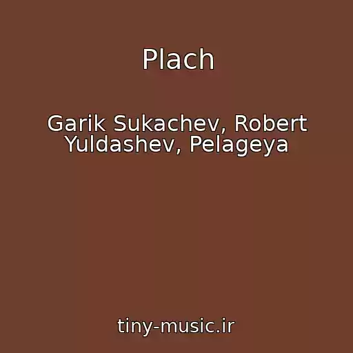 کاور آهنگ Plach از Garik Sukachev, Robert Yuldashev, Pelageya
