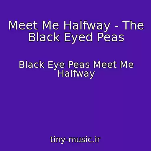 کاور آهنگ Meet Me Halfway - The Black Eyed Peas از Black Eye Peas Meet Me Halfway