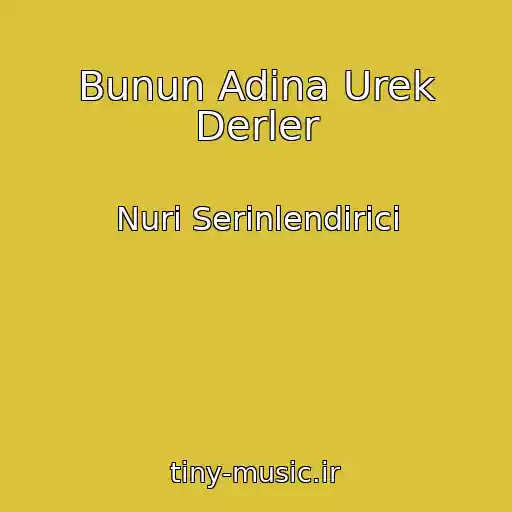 کاور آهنگ Bunun Adina Urek Derler از Nuri Serinlendirici