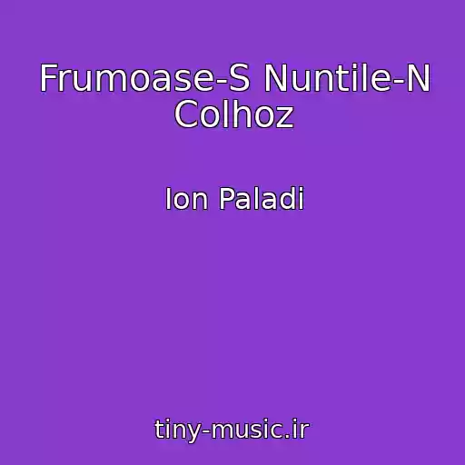 کاور آهنگ Frumoase-S Nuntile-N Colhoz از Ion Paladi