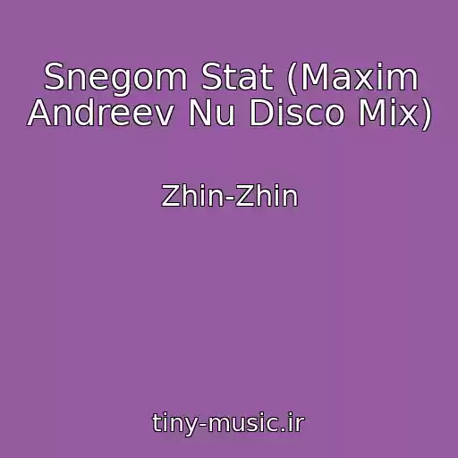کاور آهنگ Snegom Stat (Maxim Andreev Nu Disco Mix) از Zhin-Zhin
