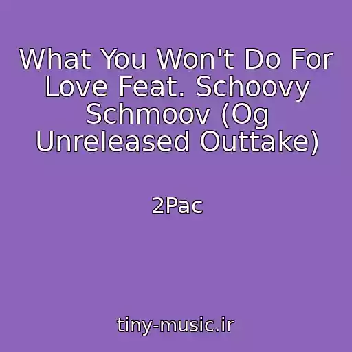 کاور آهنگ What You Won't Do For Love Feat. Schoovy Schmoov (Og Unreleased Outtake) از 2Pac