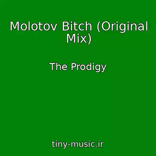 کاور آهنگ Molotov Bitch (Original Mix) از The Prodigy