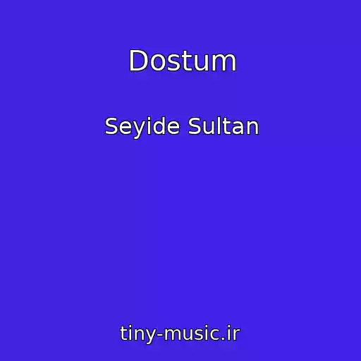 کاور آهنگ Dostum از Seyide Sultan