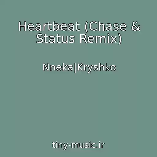 کاور آهنگ Heartbeat (Chase & Status Remix) از Nneka|Kryshko