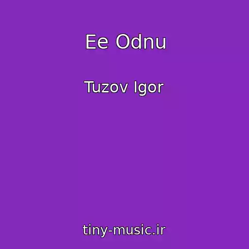 کاور آهنگ Ee Odnu از Tuzov Igor