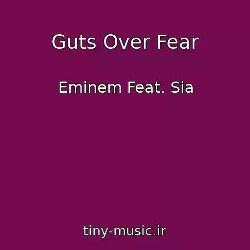 کاور آهنگ Guts Over Fear از Eminem Feat. Sia