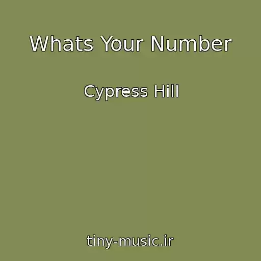 کاور آهنگ Whats Your Number از Cypress Hill
