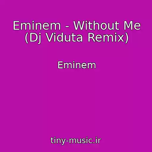 کاور آهنگ Eminem - Without Me (Dj Viduta Remix) از Eminem