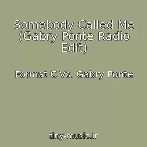 کاور آهنگ Somebody Called Me (Gabry Ponte Radio Edit) از Format C Vs. Gabry Ponte