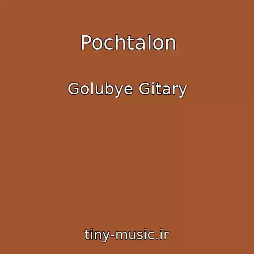 کاور آهنگ Pochtalon از Golubye Gitary