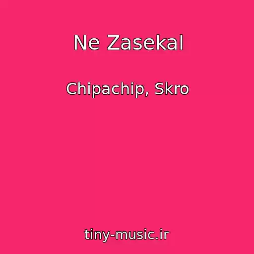 کاور آهنگ Ne Zasekal از Chipachip, Skro