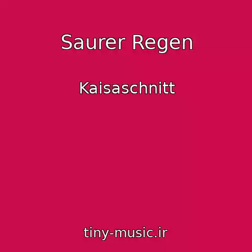 کاور آهنگ Saurer Regen از Kaisaschnitt