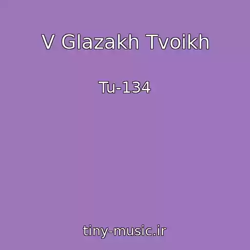 کاور آهنگ V Glazakh Tvoikh از Tu-134