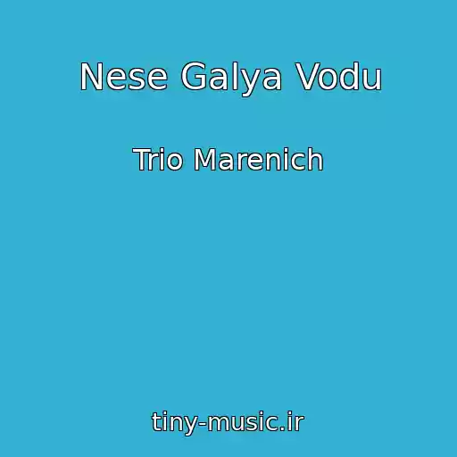 کاور آهنگ Nese Galya Vodu از Trіo Marenich
