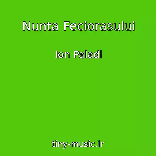 کاور آهنگ Nunta Feciorasului از Ion Paladi