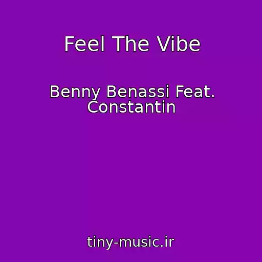 کاور آهنگ Feel The Vibe از Benny Benassi Feat. Constantin