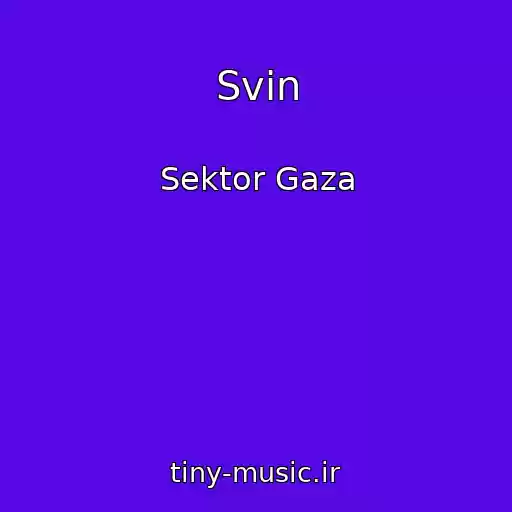کاور آهنگ Svin از Sektor Gaza