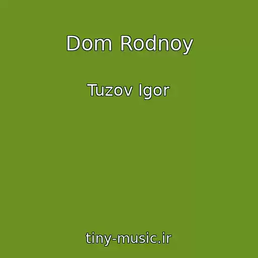 کاور آهنگ Dom Rodnoy از Tuzov Igor