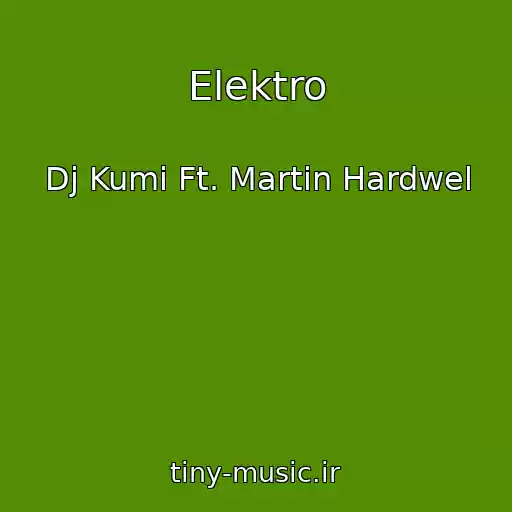 کاور آهنگ Elektro از Dj Kumi Ft. Martin Hardwel