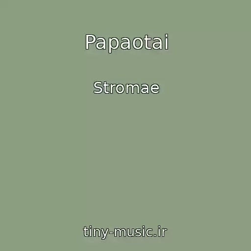 کاور آهنگ Papaotai از Stromae