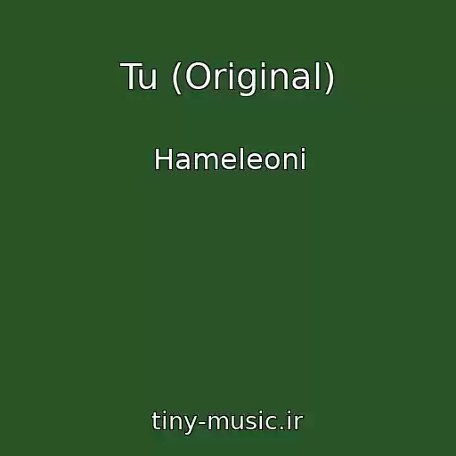 کاور آهنگ Tu (Original) از Hameleoni