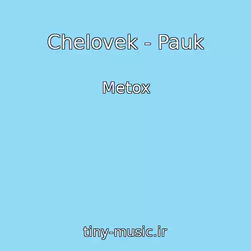 کاور آهنگ Chelovek - Pauk از Metox