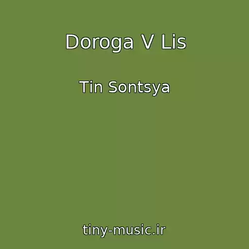 کاور آهنگ Doroga V Lіs از Tіn Sontsya