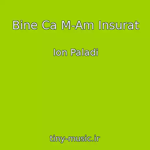 کاور آهنگ Bine Ca M-Am Insurat از Ion Paladi