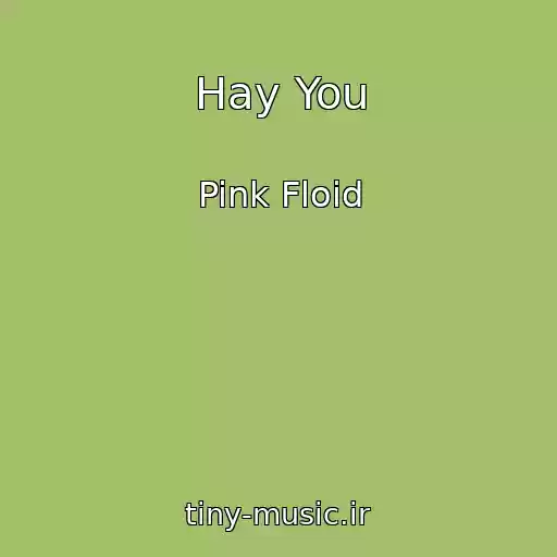 کاور آهنگ Hay You از Pink Floid