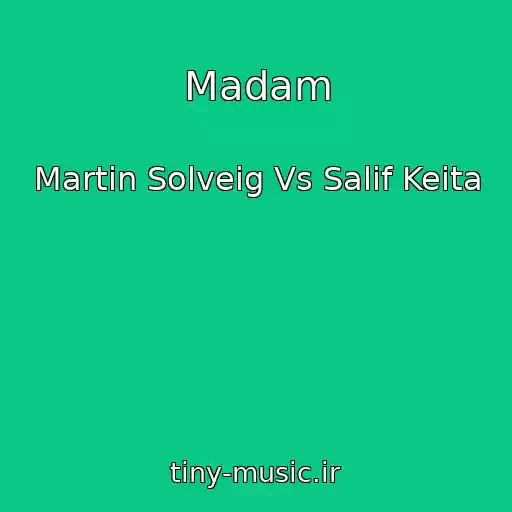 کاور آهنگ Madam از Martin Solveig Vs Salif Keita