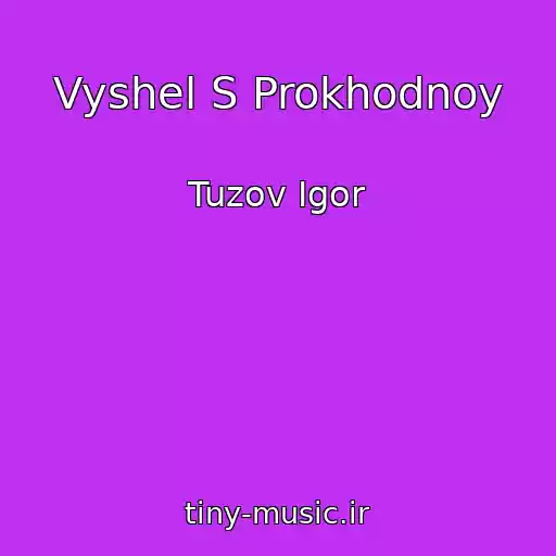 کاور آهنگ Vyshel S Prokhodnoy از Tuzov Igor