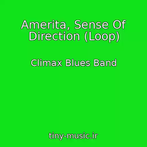 کاور آهنگ Amerita, Sense Of Direction (Loop) از Climax Blues Band