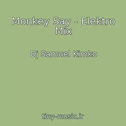 کاور آهنگ Monkey Say - Elektro Mix از Dj Samuel Kimko