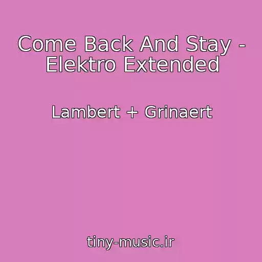 کاور آهنگ Come Back And Stay - Elektro Extended از Lambert + Grinaert