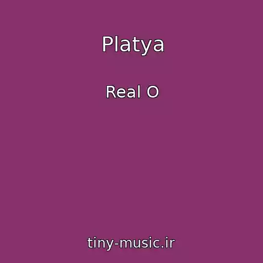 کاور آهنگ Platya از Real O