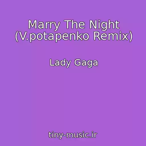 کاور آهنگ Marry The Night (V.potapenko Remix) از Lady Gaga