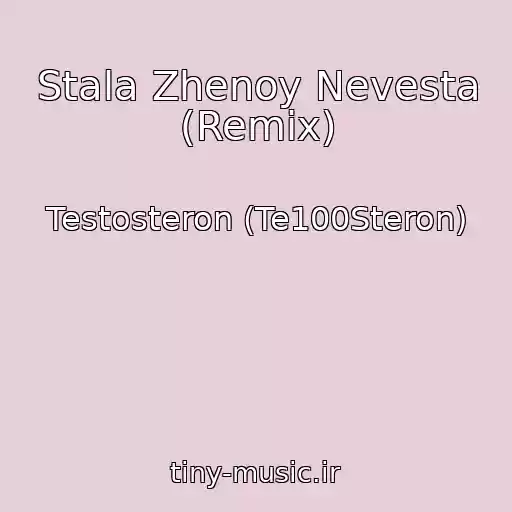 کاور آهنگ Stala Zhenoy Nevesta (Remix) از Testosteron (Te100Steron)
