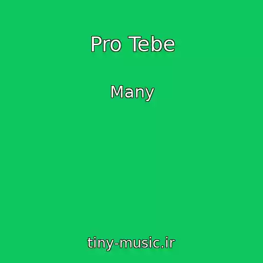 کاور آهنگ Pro Tebe از Many