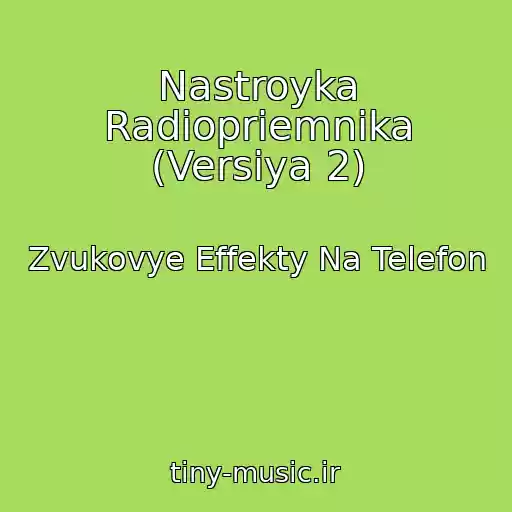 کاور آهنگ Nastroyka Radiopriemnika (Versiya 2) از Zvukovye Effekty Na Telefon