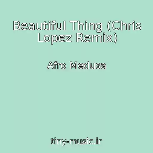 کاور آهنگ Beautiful Thing (Chris Lopez Remix) از Afro Medusa
