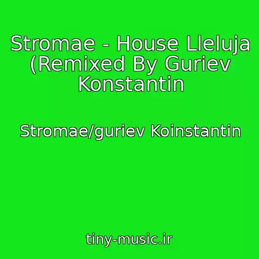 کاور آهنگ Stromae - House Lleluja (Remixed By Guriev Konstantin از Stromae/guriev Koinstantin