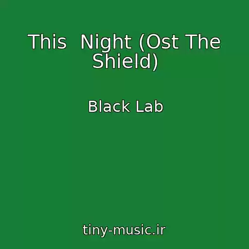 کاور آهنگ This  Night (Ost The Shield) از Black Lab