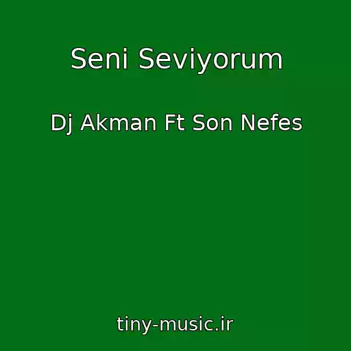 کاور آهنگ Seni Seviyorum از Dj Akman Ft Son Nefes