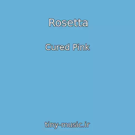 کاور آهنگ Rosetta از Cured Pink
