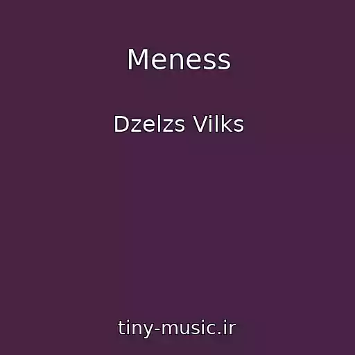 کاور آهنگ Meness از Dzelzs Vilks
