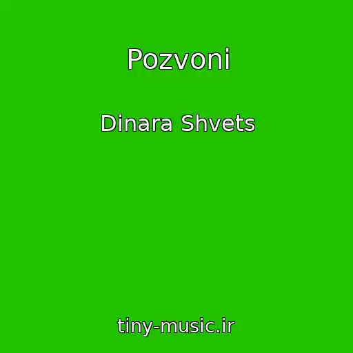 کاور آهنگ Pozvoni از Dinara Shvets