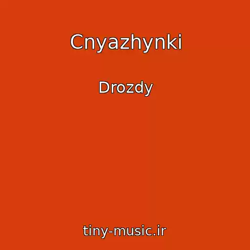 کاور آهنگ Cnyazhynkі از Drozdy