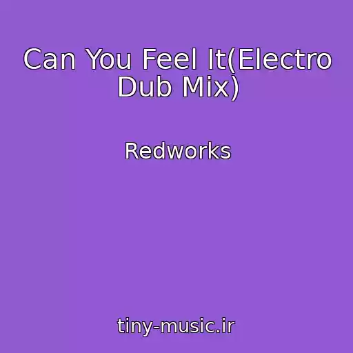 کاور آهنگ Can You Feel It(Electro Dub Mix) از Redworks